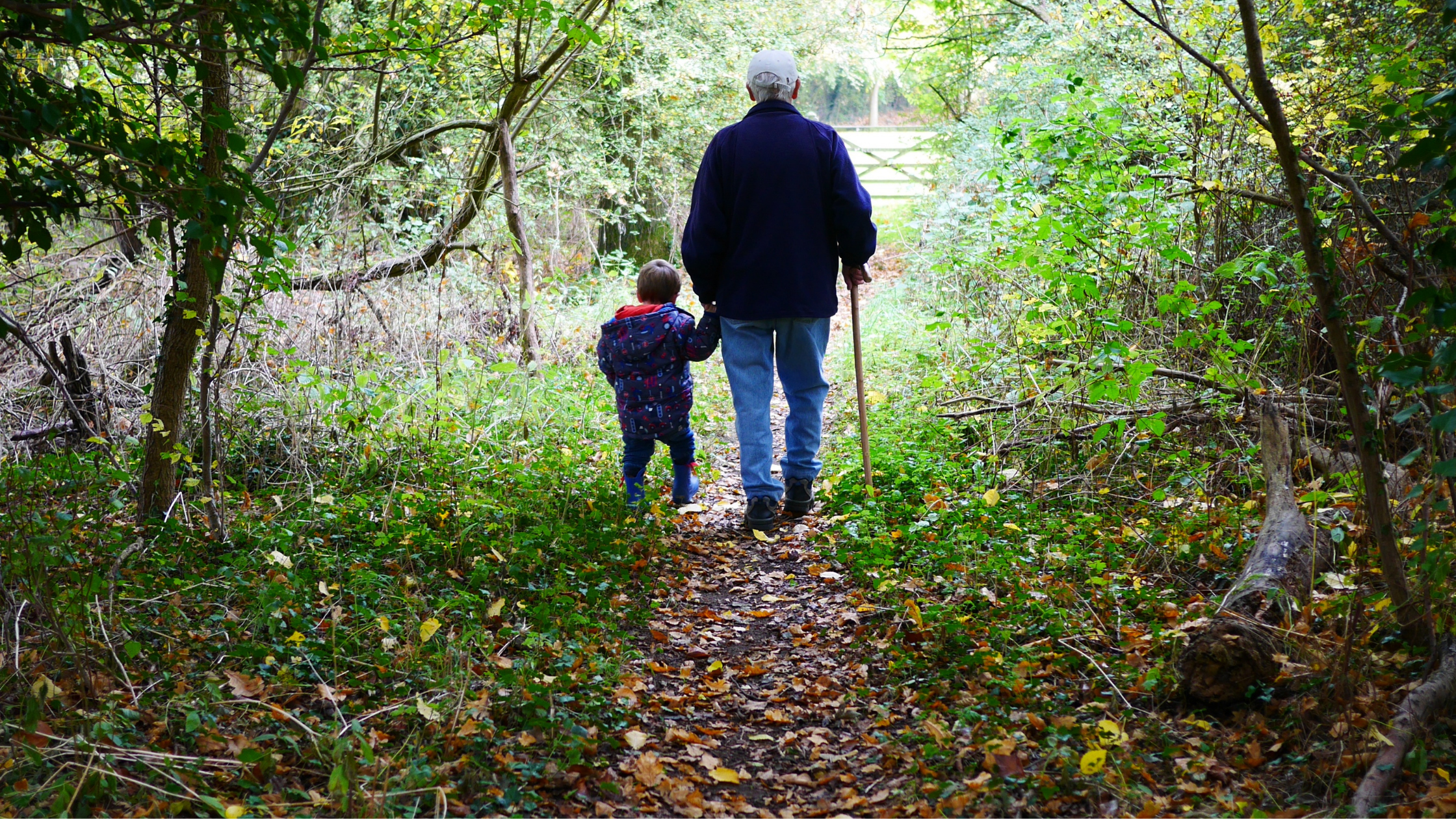 emociones, cambios, otoño