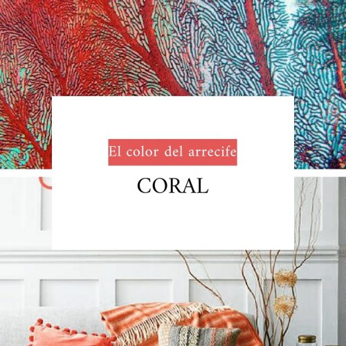 WhatsApp Image 2020-06-30 at 09.08.45